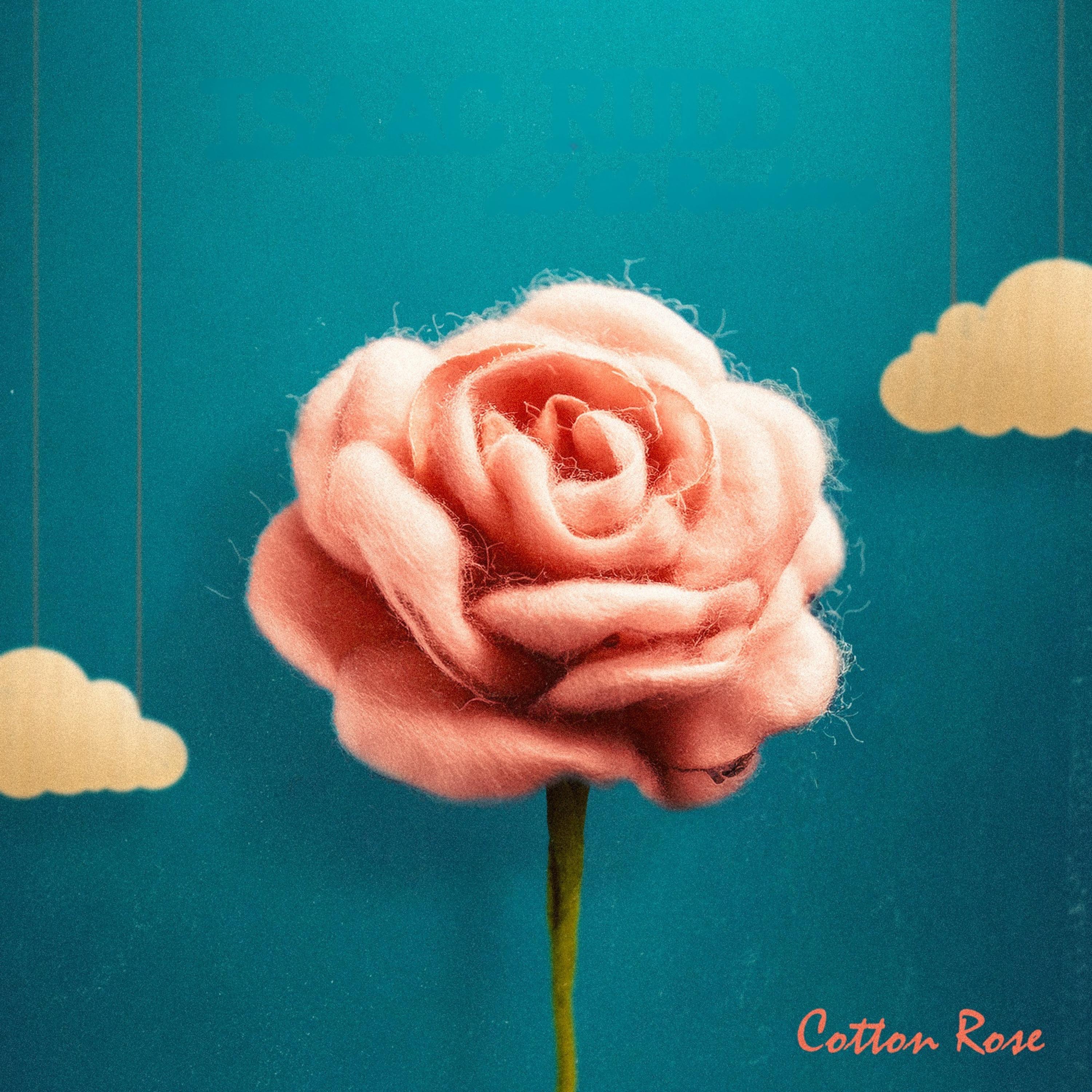 Cotton Rose - Single