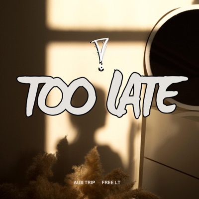 Too Late - Single