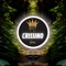 CRISSINO // WRONG PATH - Crissino lyrics