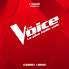 Dans ton regard - The Voice & Gabriel Lobao
