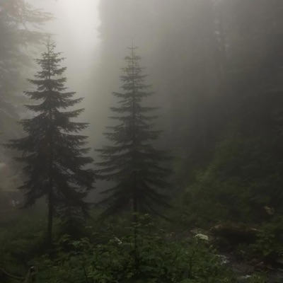 waste (demo) - Single