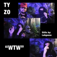 wtw (feat. zodiak) - Single - TH5NKY5U