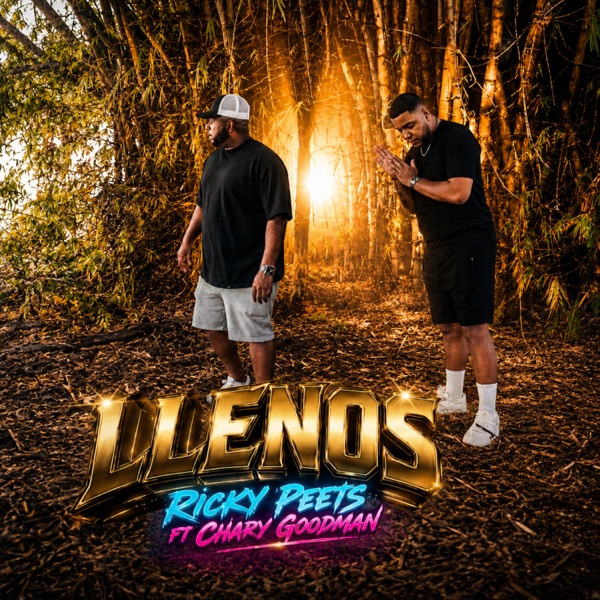 Llenos (feat. Chary Goodman)
