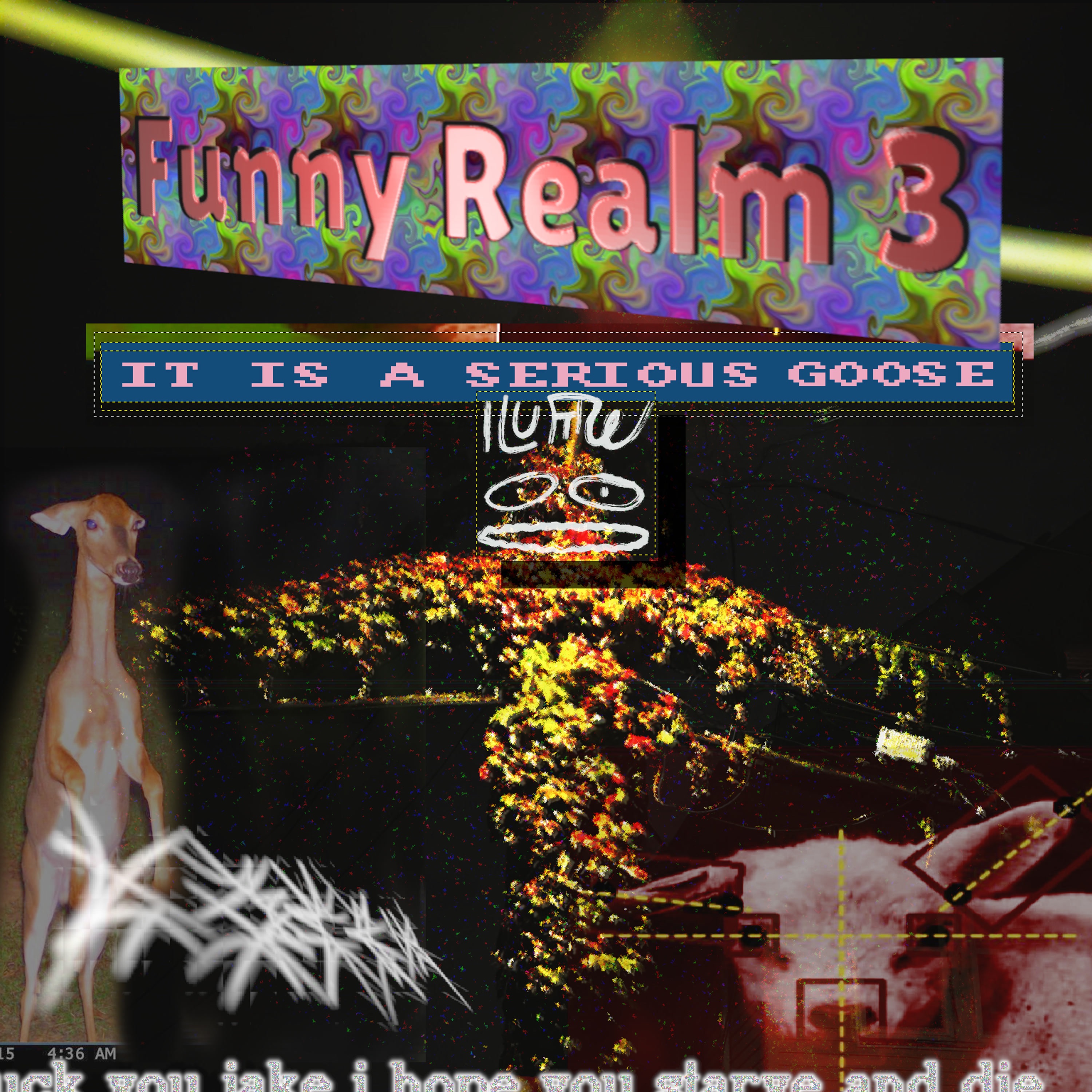 Funny Realm 3: It Is A Serious Goose