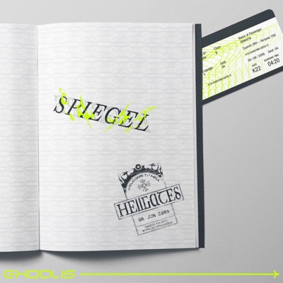 Spiegel (feat. MADFLOW VAULT, scem archiv, Gana94 Archiv & noah2k archived) - Single