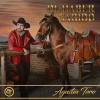 De Haber Sabido - Single - Agustín Toro