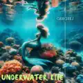 Underwater Life