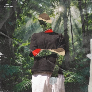 Clarity - Single