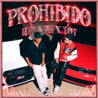 Prohibido (feat. WHOISYOKI & Samy the wizard) - Single - LUPVS DEI, T.O.T & At' Fat