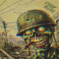 Troop Musik (feat. rogueZim) - EP - NrthsideXO & heaven$cient