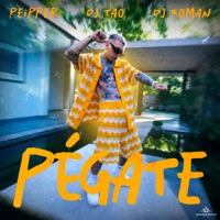 PÉGATE - Single - Peipper, DJ Tao & DJ Roman