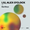 Bad Boys cover art