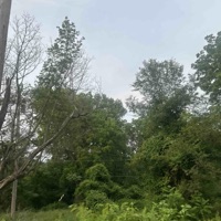 would you - Single - zai