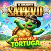 El Paso de la Tortuga
