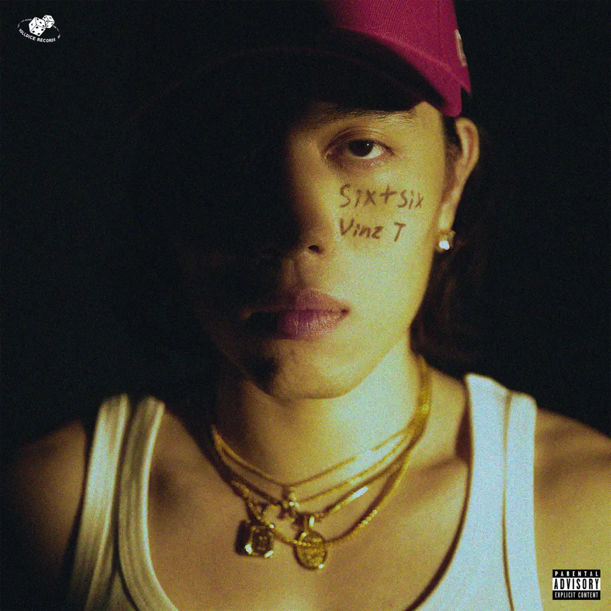 Vinz-T - Six+Six Mixtape (2024) [iTunes Plus AAC M4A]-新房子