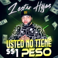 Usted No Tiene un Peso - Single - Lester Hojas