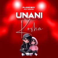 Unanikosha (feat. monchidy) - Single - Flood Boy tz