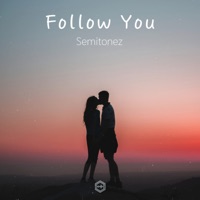 Follow You - Single - Semitonez
