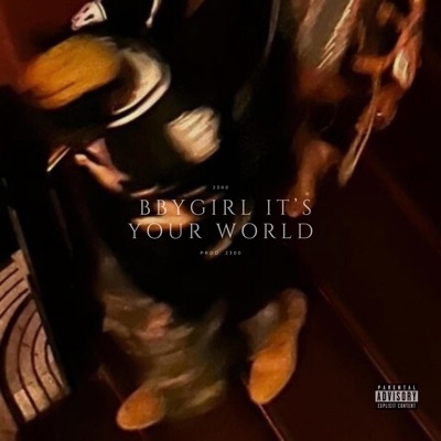 Bbygirl It's Your World - Single