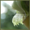 fulful - Nausicaa Of Valley Of Wind(Nausicaa of Valley of Wind)