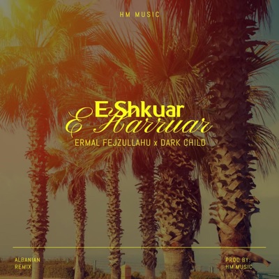E Shkuar E Harruar (feat. Ermal Fejzullahu) [Albanian Remix] - Single