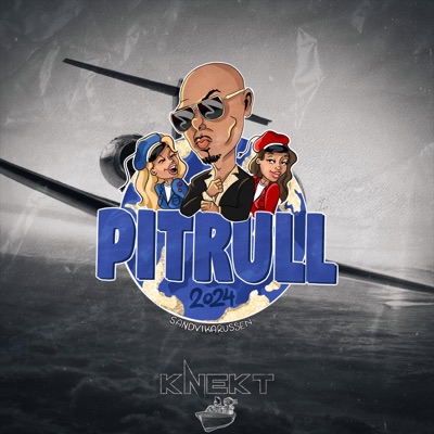 Mrs. Worldwide (Pitrull) (feat. Motorbaut) - Single