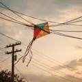 Learn To Fly