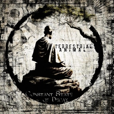 Constant State of Decay