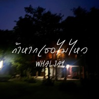 ถ้าหากเธอไม่ไหว - Single - WHALJAY