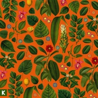 Becoming Who We Are (Instrumental) - Kings Kaleidoscope