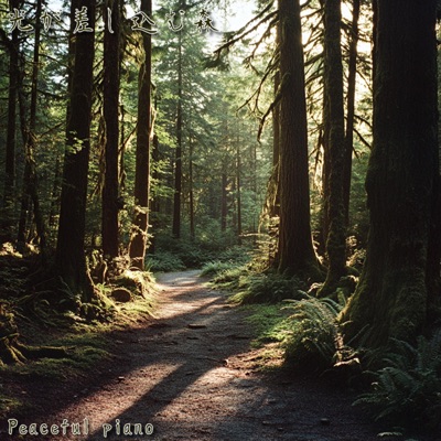 光が差し込む森