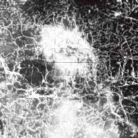 Everyday - Single - Reeno