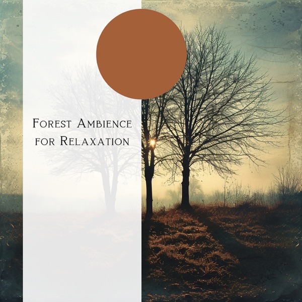 Forest Ambience for Relaxation
