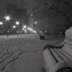Winter Disorder (New Year Version) - Single