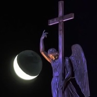 bulls (feat. ilyANGEL22) - Single - gleesfuneral