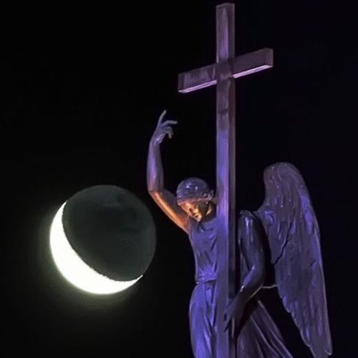 bulls (feat. ilyANGEL22) - Single