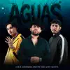 Aguas