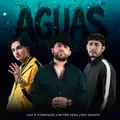 Aguas