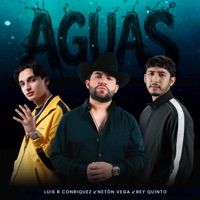 Aguas - Single - Luis R Conriquez, Neton Vega & Rey Quinto