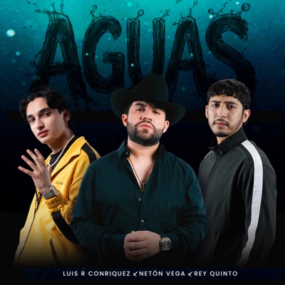 Aguas - Single