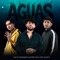 Aguas - Luis R Conriquez, Neton Vega & Rey Quinto lyrics