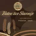 Prekasno za ljubav