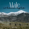 Male - Single