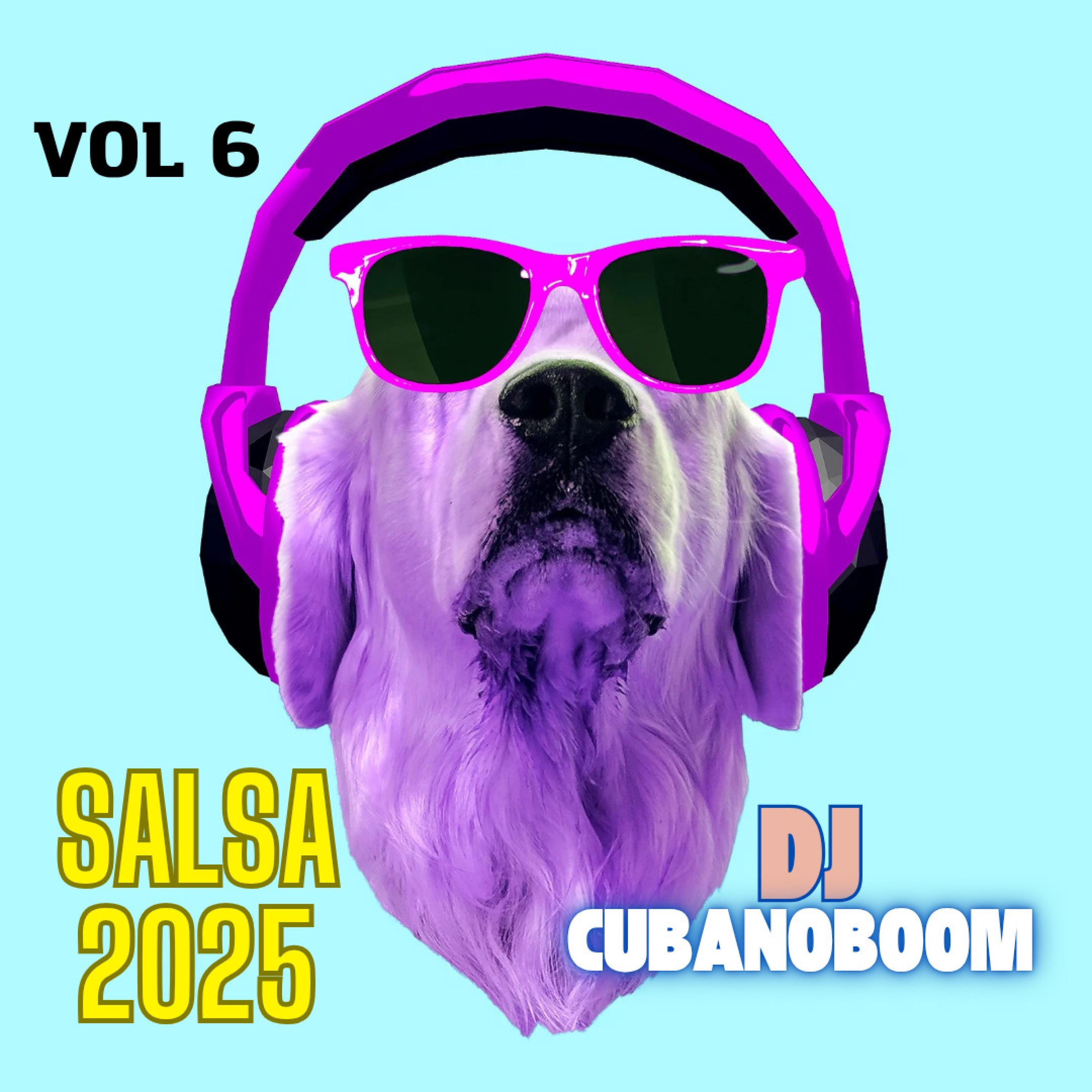 Salsa 2025, Vol. 6