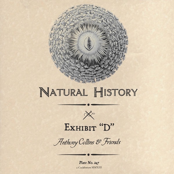 Exhibit "D" - Single