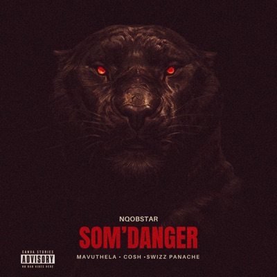 Som'danger (feat. Mavuthela, Cosh & Swizz Panache) - Single