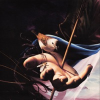 Support vs Congratulations - Single - Baby Pantera