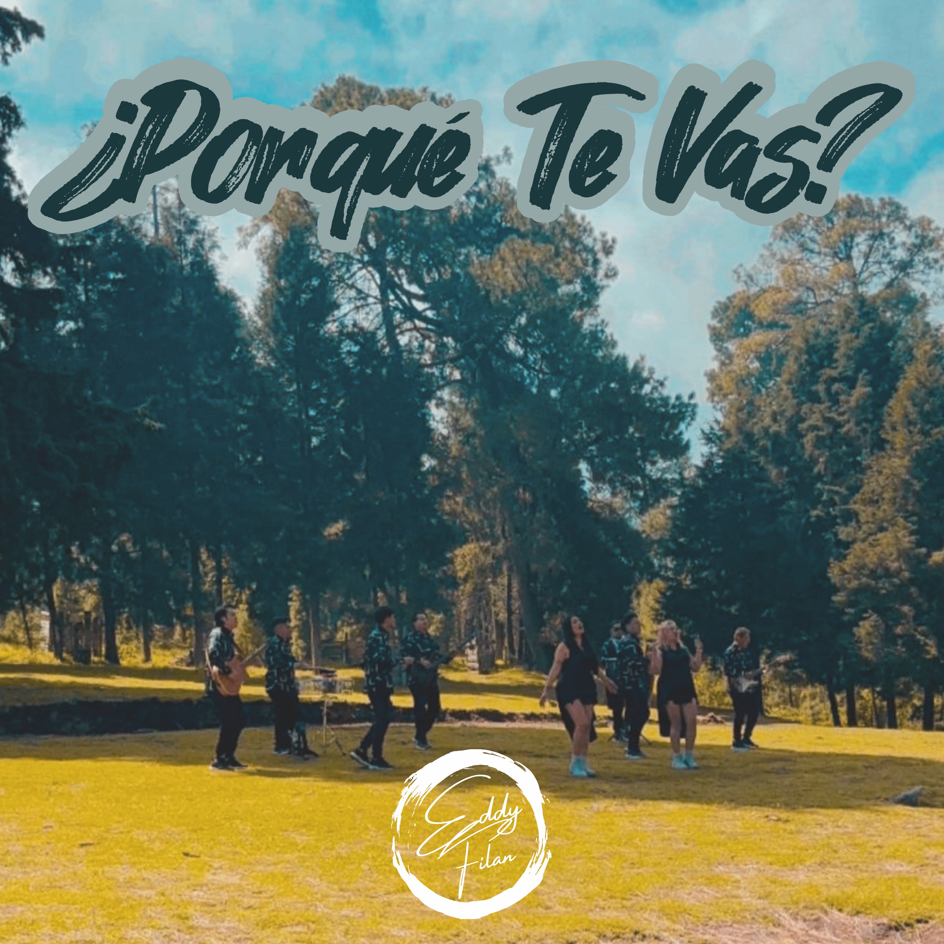 ¿Porqué Te Vas? - Single