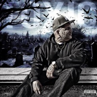 TOXIC - Single - problem da goon