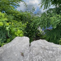 Paradise - Single - Postmark